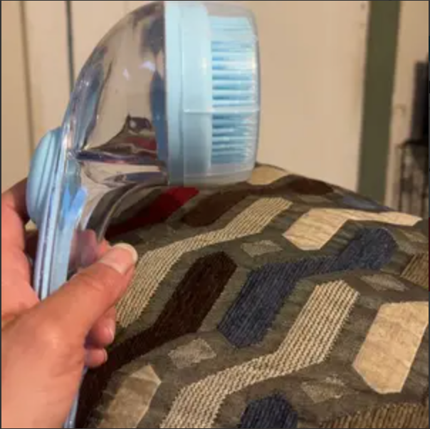 PawSuds brush ready to use at home