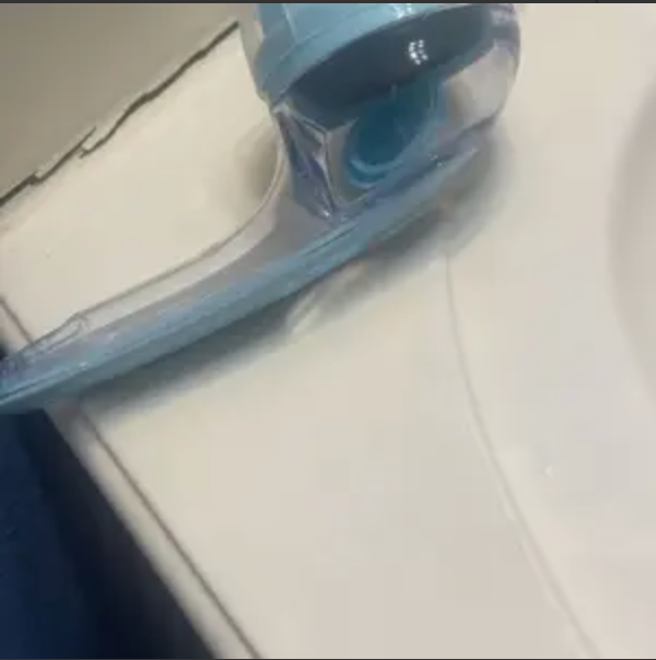 Customer's PawSuds brush
